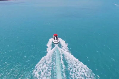 Parti da pattaya per un’escursione di mezza giornata all’isola di coral con pranzo indiano, trasferimenti in hotel e attività acquatiche. goditi la spiaggia di tawaen con guide esperte in hindi.