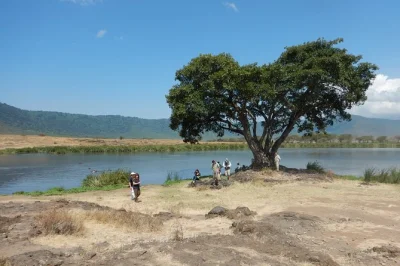 Safari de um dia no ngorongoro saindo de arusha. veja o big five, aproveite um almoço picnic e viaje em um 4x4 aberto. reserve sua aventura agora.