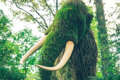 Descubra os principais pontos de atlanta no seu ritmo com um tour áudio autoguiado. visite o jardim botânico, parque mlk jr. e muito mais. reserve já com acesso flexível.