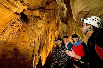 Privater fahrer zu den waitomo glowworm caves ab auckland. hotelabholung, flexible zeiten und malerische fahrt. eintritt nicht inklusive. maximal 3 personen pro buchung.