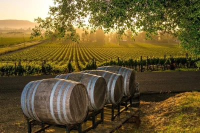Sample wines at three top fredericksburg wineries, enjoy a local lunch, and relax with private transport and a friendly guide. book now for pickup included.