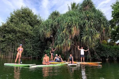 Découvrez le stand up paddle à haleiwa bay, oahu, avec un guide certifié. observez les tortues vertes hawaïennes, apprenez l’histoire locale et profitez du matériel inclus. réservez vite.