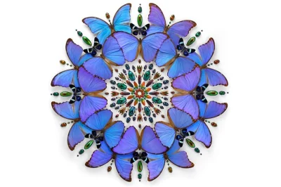 Feel the wonder of portland’s exquisite creatures exhibit—thousands of rare specimens, vivid art displays, and family-friendly discovery. admission includes all taxes.