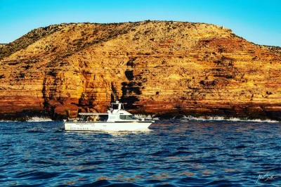 Let the sea breeze and sunset colors wash over you on a kalbarri cruise past red bluff, mushroom rock, and eagle gorge—includes byo drinks and local crew.