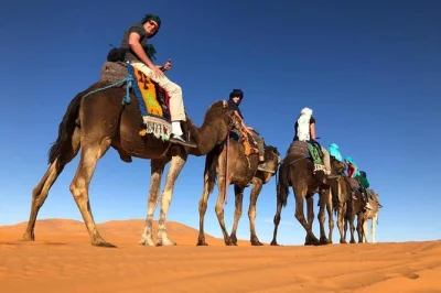 Erlebe marokko von casablanca bis marrakech mit privatem guide. entdecke chefchaouen, fes, die sahara und berberdörfer. inkl. kamelritt & hoteltransfer. jetzt buchen für echtes wüstenabenteuer.