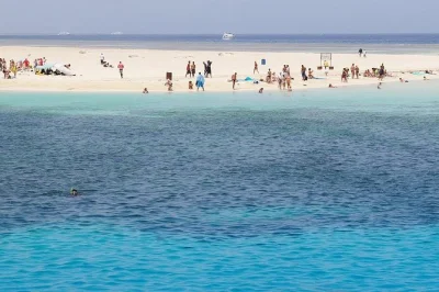 Haz snorkel en la isla utopia en el mar rojo, disfruta de un paseo en barco con fondo de cristal y un delicioso almuerzo. incluye recogida en hotel desde hurghada y equipo de snorkel. reserva tu lugar