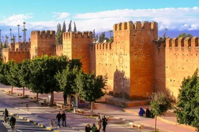 Découvrez les souks animés de taroudant, la palmeraie de tiout et savourez un déjeuner berbère maison. transport privé et prise en charge à l’hôtel d’agadir inclus.