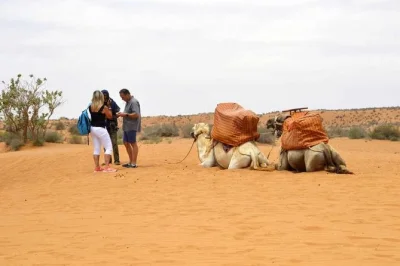 Découvrez le petit sahara marocain, les villages berbères et le célèbre marché d’argent de tiznit lors d’une excursion privée d’une journée depuis agadir. déjeuner et guide local inclus.