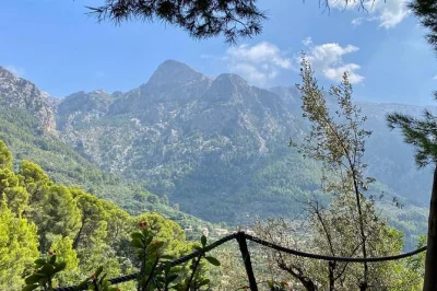 Shape your own pottery in mallorca’s countryside, guided by a local artist. includes coffee or tea, mountain views, and all materials. book your spot today.