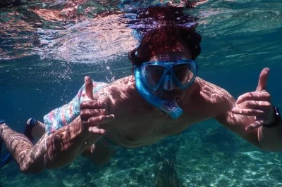 Swim the west end coral reef, sample local chocolate, and try rum cakes with a local guide. includes all gear, air-conditioned transport, and flexible pickup.