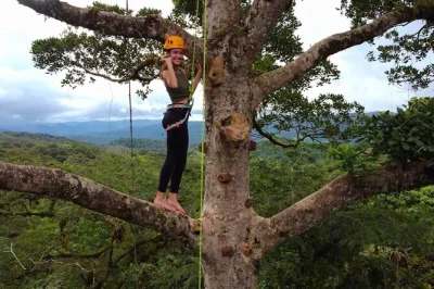Scopri il parco del vulcano arenal con escursioni guidate, kayak in laguna naturale e divertenti zip line. attrezzatura inclusa e orari flessibili. prenota ora!