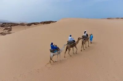 Partez à dos de chameau dans les dunes d’agadir, découvrez tifnit et savourez un déjeuner marocain avec thé à la menthe. transfert hôtel et guide local inclus. réservez vite.