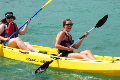 Alugue um caiaque e descubra a lagoa de mangue em st. thomas no seu ritmo. remada por canais sinuosos, avistamento de animais e visita à bird island.