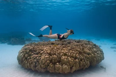 Phuket, racha yai y mai ton: snorkel en arrecifes cristalinos, avistamiento de delfines y playas tranquilas. tour privado en barco con almuerzo y equipo incluido.