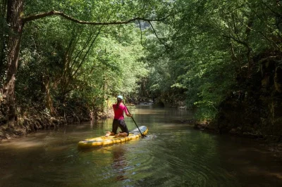 Feel the cool rush of palomino river as you paddle board with a local guide, hotel pickup by motorbike, and all gear included. a short, refreshing adventure in colombia.