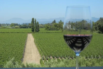 Découvrez les vins californiens dans 3 vignobles familiaux de sonoma et napa, avec guide local, prise en charge à l’hôtel et groupe réduit. réservez vite votre place.