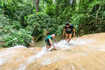 Descubre las cascadas de piedra caliza “pegajosas” de bua tong cerca de chiang mai, nada en sus piscinas naturales y disfruta de un almuerzo con guía local. incluye recogida en hotel—reserva ya