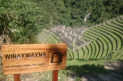 Walk the inca trail from cusco to machu picchu, guided by locals. includes hotel pickup, train rides, and a cozy night in aguas calientes. book now.