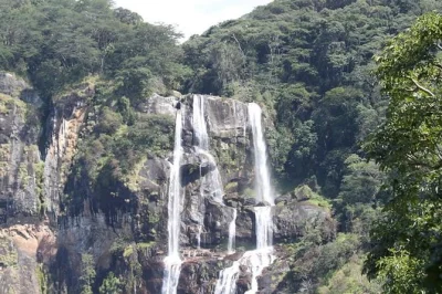 Scopri la fauna di mikumi e le cascate di udzungwa in un safari di 4 giorni da dar es salaam, con guida locale, trasferimenti e pasti inclusi.