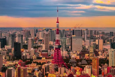Feel tokyo’s contrasts on a private tour by car with an english driver-guide. includes hotel or airport pickup, wifi, and a flexible itinerary tailored to you.