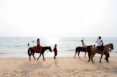 Découvrez phuket à cheval sur ses plages de sable blanc avec un guide thaï convivial. casque, eau en bouteille et tout l’équipement inclus. réservez vite cette expérience unique.