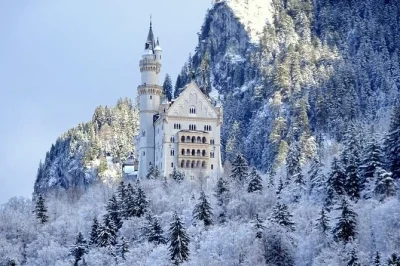 Feel the winter magic on a munich to neuschwanstein day trip. includes skip-the-line castle tickets, scenic bus ride, and optional munich walking tour.