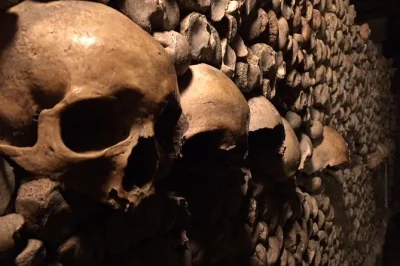 Feel the chill of paris catacombs on a small vip tour, skip the lines, unlock hidden rooms with a local guide, and explore eerie tunnels closed to most visitors.