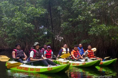 Kayak through trinidad’s caroni swamp with a local guide, spot scarlet ibis at dusk, and enjoy easy pickup from port of spain. book your adventure today.