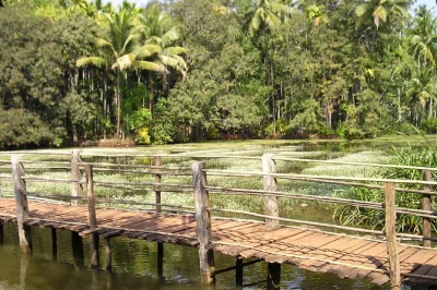 Découvrez le charme colonial de margao, le musée chitra et une plantation d’épices avec déjeuner inclus. transfert et guide local sympathiques. réservez pour goûter l’authentique goa.