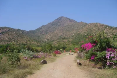 Experience tiruvannamalai’s arunachala temple, sacred mountain walk, and meditation caves with a local guide. includes entry fees and support throughout.