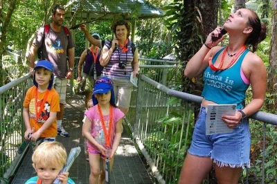 Experience the daintree rainforest at every level with a family pass to the discovery centre. includes canopy tower, self-guided audio tour, and easy access.