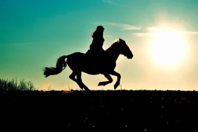Balade à cheval près du parc national d’agadir, observation de la faune au bord du souss massa, et partage d’un barbecue berbère. avec prise en charge à l’hôtel et guide local.
