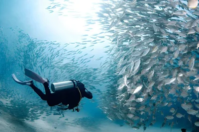 Feel the first rush of scuba diving in the red sea from hurghada, with two guided dives, hotel transfers, and a fresh lunch served on board. small groups only.