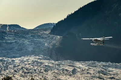 Feel the thrill of a seaplane flight over five glaciers, dine on wild salmon at historic taku lodge, and spot black bears—includes window seat and meal.