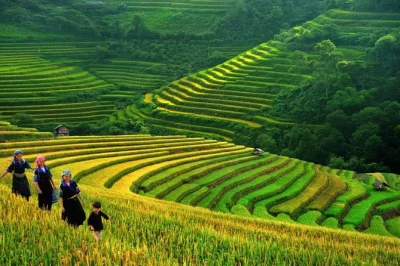 Walk sapa’s rice terraces, meet black hmong locals, and stay overnight in a homestay. includes pickup from hanoi, meals, and local guide. book now.