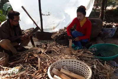 Pedal through battambang’s villages with a local guide, sample rice paper, kralan & banana chips, and visit wat samrong knong. book now for morning pickup.