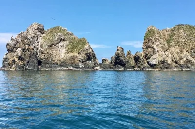 Start early from san pedro sula, ride a boat from tela to punta sal, hike rainforest trails, spot monkeys, snorkel, and enjoy a garifuna-style lunch on cocalito beach. includes pickup.