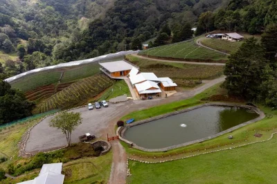 Conheça a única vinícola comercial da costa rica com tour guiado, degustação do licor de uchuva e harmonização de vinhos. passeio pelo vinhedo com dicas locais.