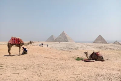 Découvrez les pyramides de gizeh, le sphinx, saqqara et memphis lors d'une journée complète au départ du caire ou gizeh. transfert hôtel, déjeuner et guide égyptologue inclus.