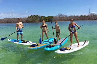 Explorez les mangroves des florida keys en kayak tandem. choisissez votre itinéraire, observez la faune locale et profitez d’une journée détente. réservez vite.