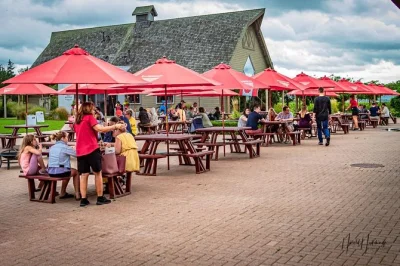 Tour privato personalizzato di vini, birre e distillati alle cascate del niagara. ritiro flessibile, guida locale, fino a 5 cantine o birrifici. prenota l’avventura di degustazione per il tuo gruppo