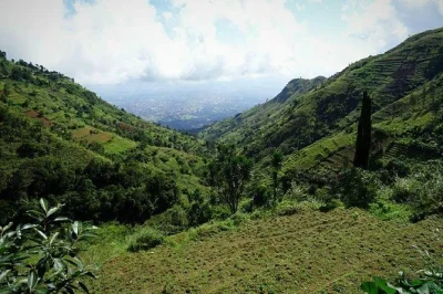Esplora i villaggi e le foreste di morogoro fino alla cascata di choma nei monti uluguru con una guida locale. include acqua in bottiglia e tassa ambientale.
