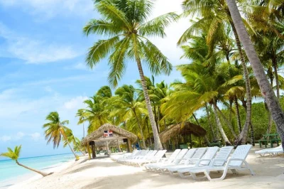 Scopri l’isola di saona con un’escursione di un giorno da punta cana: pick-up in hotel, giro in barca, guida locale e pranzo tipico dominicano. prenota ora la tua fuga perfetta.