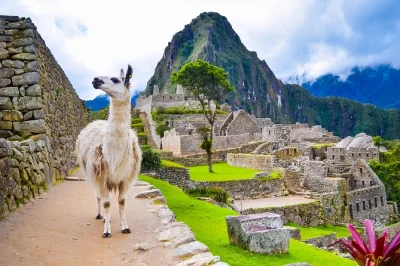 Explora cusco, machu picchu, valle sagrado, montaña de los siete colores y más en 7 días. todos los boletos, guías y traslados incluidos. reserva tu aventura en perú ahora.