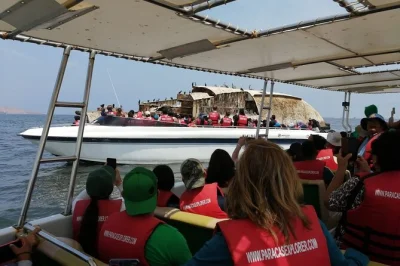 Scopri la fauna delle isole ballestas, la costa di paracas e il sandboarding sulle dune di huacachina in un’escursione di un giorno da lima con guida e trasporto inclusi.