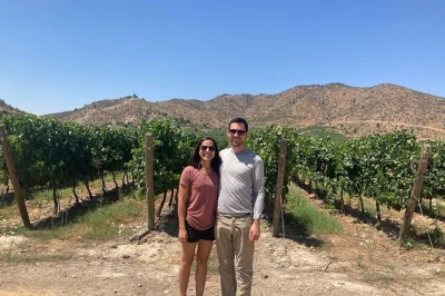 Experience a private wine tasting at encierra vineyard near santiago, walk the vines with the owners, and taste premium wines. book now for a real local touch.