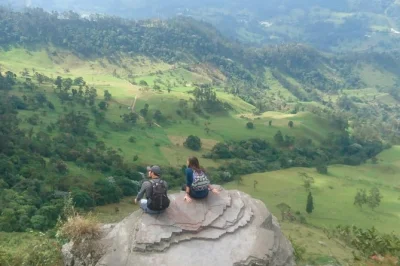 Explorez la forêt brumeuse de chicaque près de bogotá, observez les oiseaux, découvrez une cascade en montagne et profitez d’un lodge rustique. transport privé et guide local inclus.