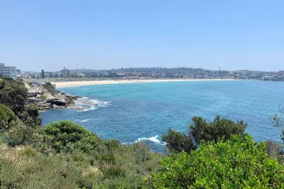 Descubre los iconos de sydney, la playa de bondi y rincones secretos con un guía local. incluye recogida en hotel o aeropuerto, almuerzo y entradas. reserva ya.