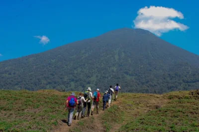 Walk through rwanda’s volcanoes national park with a local guide, see village life, and enjoy lunch at bisoke volcano. includes bottled water. book now.