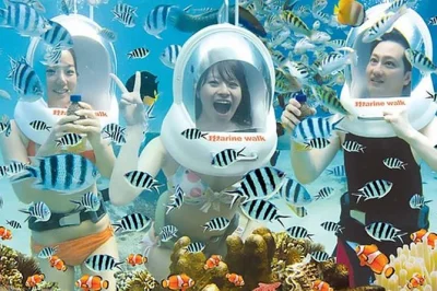 Erlebe sea walking in bali tanjung benoa mit lokalem guide. inklusive helm, 30 minuten unterwasser-spaziergang und optionalem hoteltransfer. jetzt buchen!